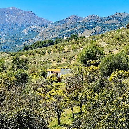 Finca Martina Apartment Casarabonela Exterior photo