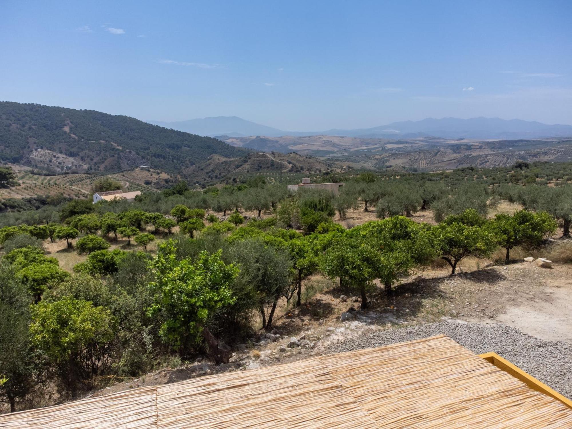 Finca Martina Apartment Casarabonela Exterior photo