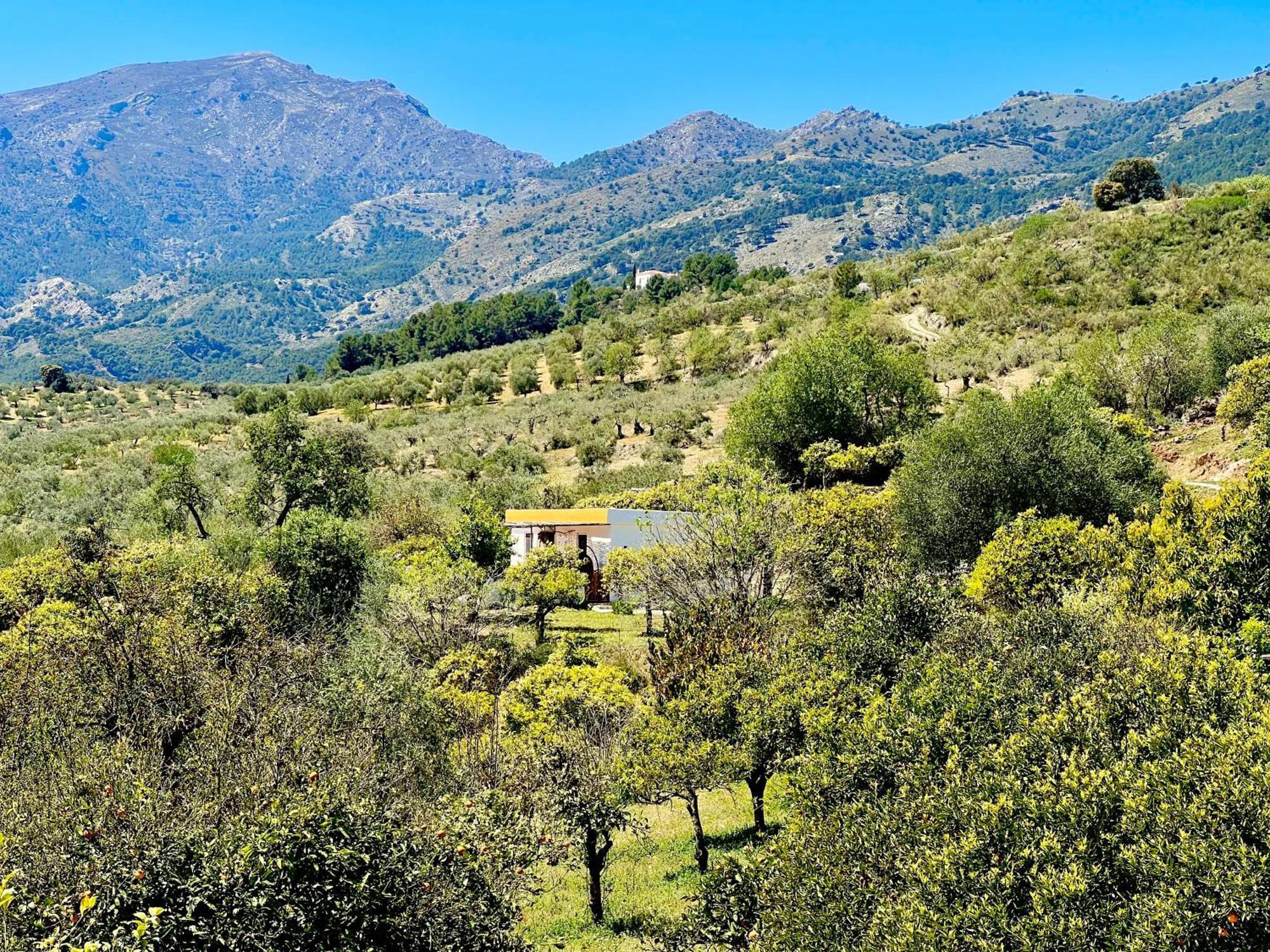 Finca Martina Apartment Casarabonela Exterior photo